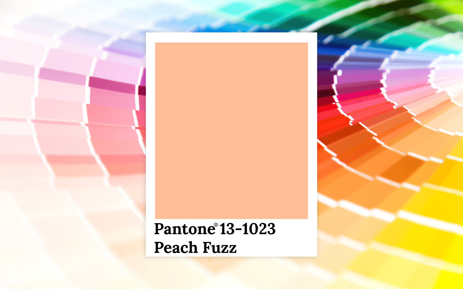 pantone color of the year peach fuzz