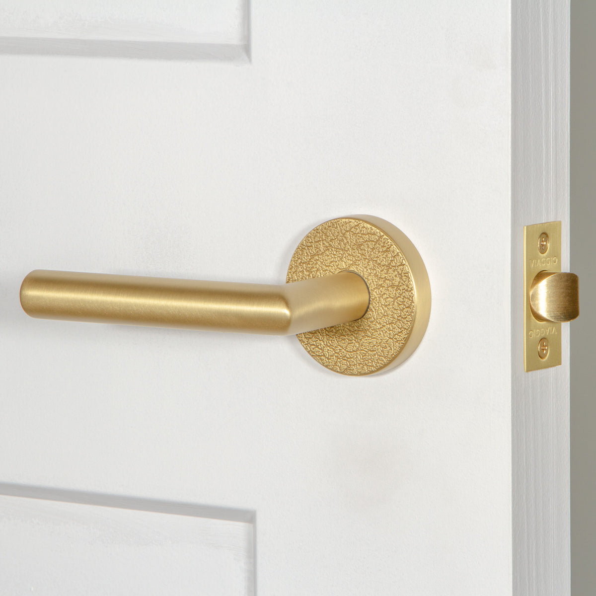 Circolo Leather Rosette with Moderno Lever in Satin Brass